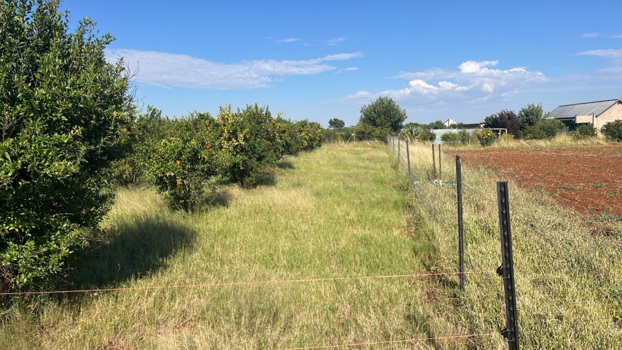 Commercial Property for Sale in Arcadia SH Free State